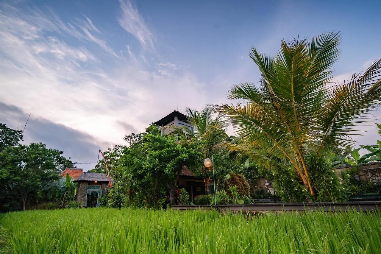 Villa Nini Ubud Indonésie