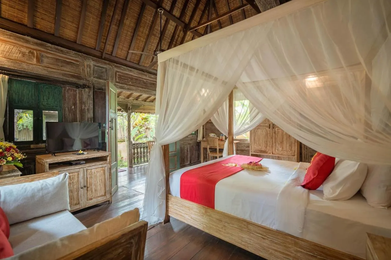 Villa Nini Ubud  0*, Ubud (Bali)